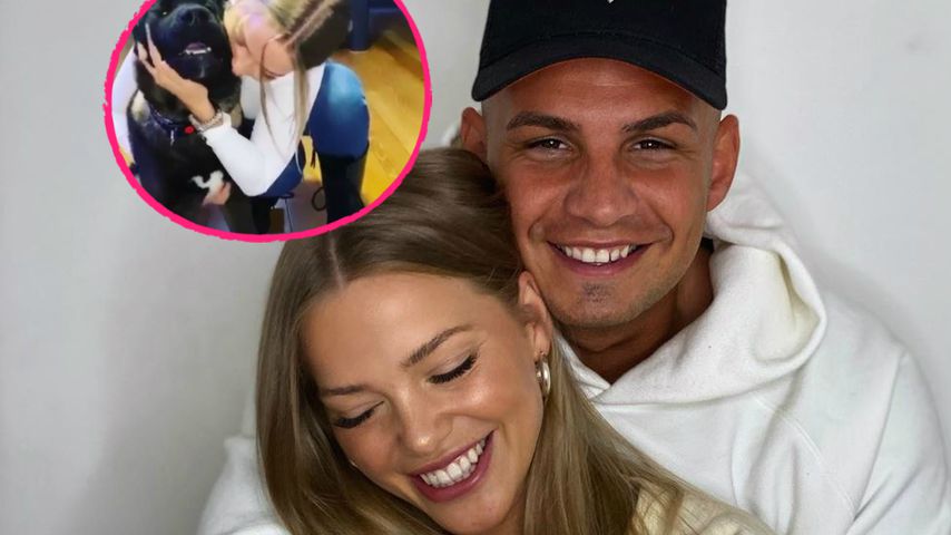 Pietro Lombardi und seine Laura sind happy: Ihr Hund ist da!