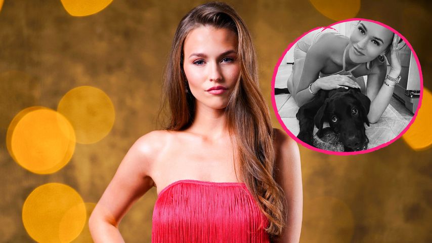 Süß oder seltsam? Laura Müller spielt Modeln mit Hund Tiger