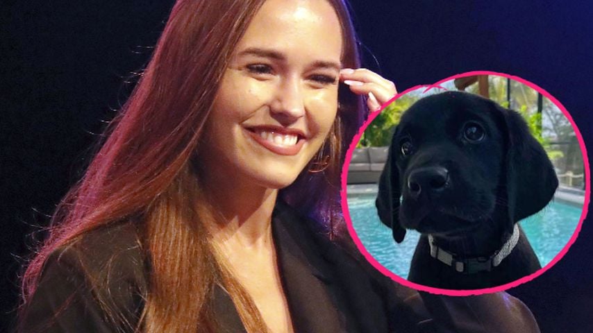 Wendlers Laura feiert Insta-Comeback – mit Hundenachwuchs!