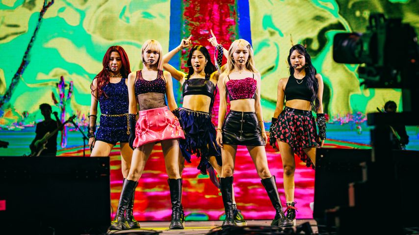 Ein bunter Mix: Diese K-Pop-Songs versüßen den Frühling!