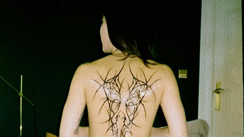 Lena Meyer-Landrut, Sängerin