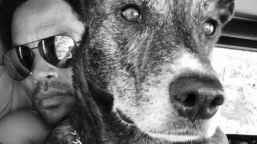 Der Beste: Lenny Kravitz trauert um seinen Hund Leroy Brown