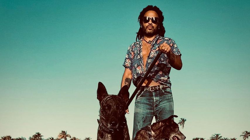 Lenny Kravitz mit seinen Hunden im November 2020