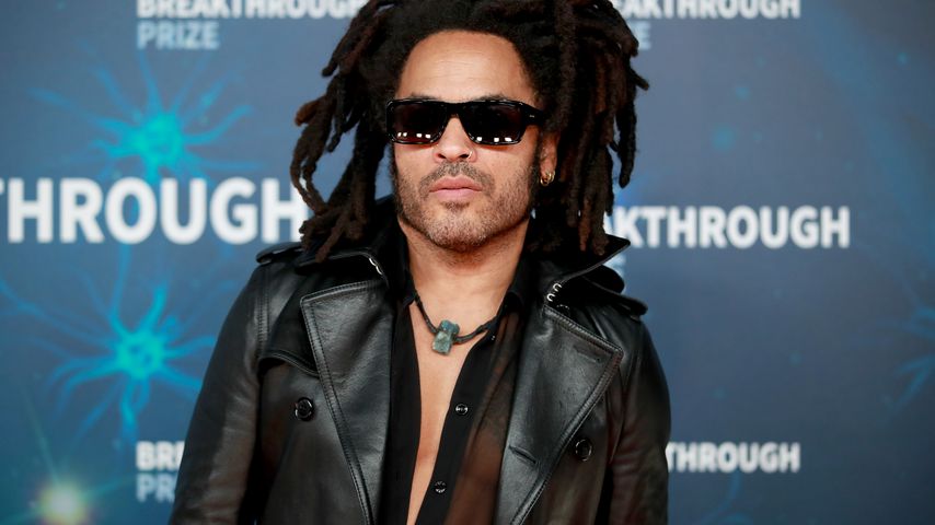 Lenny Kravitz, Musiker