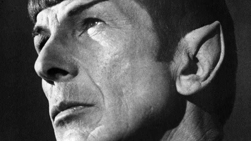 Jahrzehntealte "Star Trek"-Fan-Theorie wird nun bestätigt