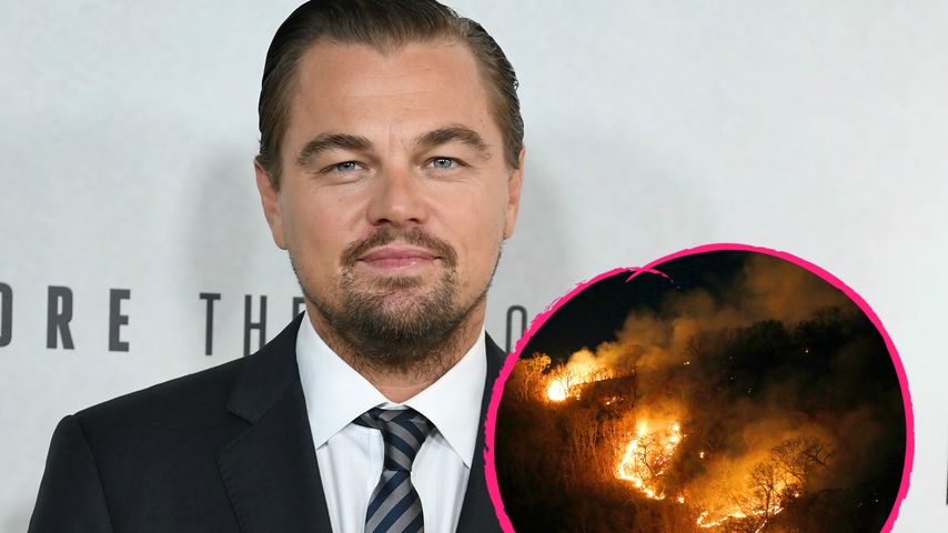 Waldbrände im Amazonas: Leo DiCaprio spendet fünf Millionen