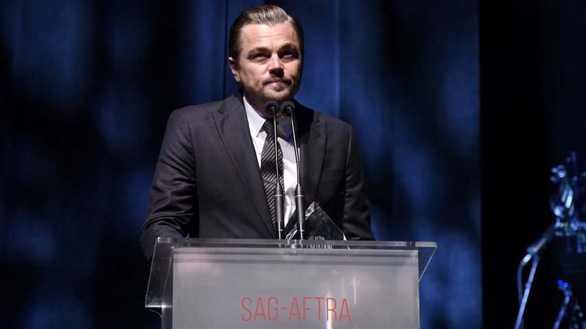 Amazonas-Brände: Was hat Leonardo DiCaprio damit zu tun?