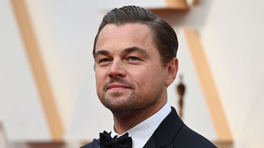 Leonardo DiCaprio, Schauspieler
