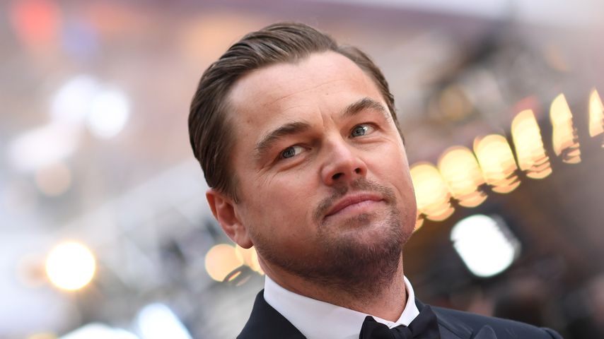 Leonardo DiCaprio investiert diese Megasumme in Umweltschutz