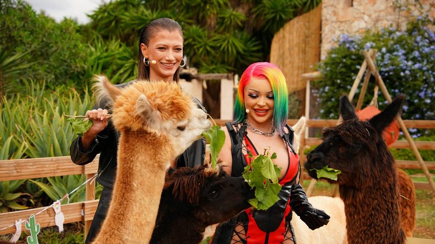 Leony und Katja Krasavice im DSDS-Recall