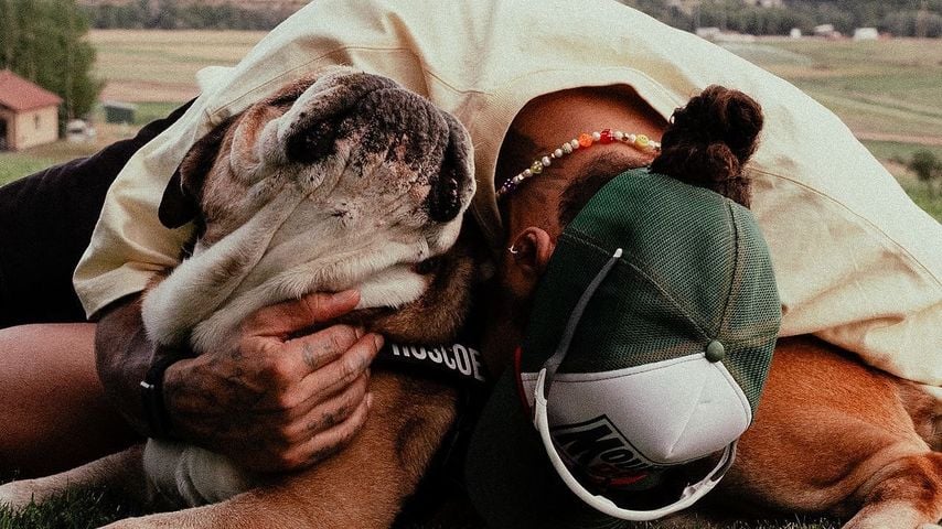 Lewis Hamilton und sein Hund Roscoe