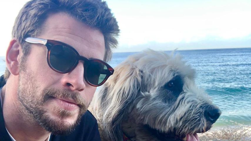 Liam Hemsworth im November 2019