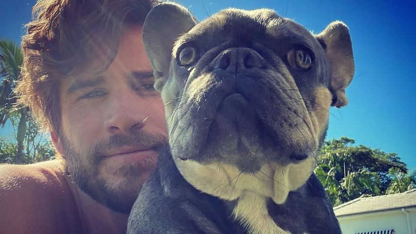 Liam Hemsworth macht Fans mit seinem "Nasenring" verrückt