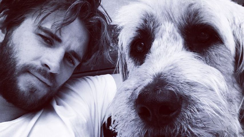 Liam Hemsworth, Hollywoodstar