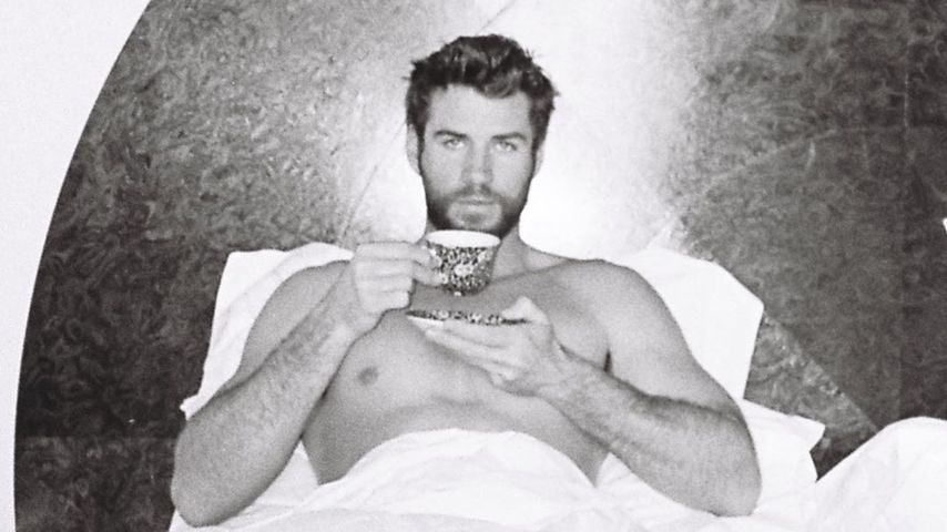 Liam Hemsworth, Schauspieler
