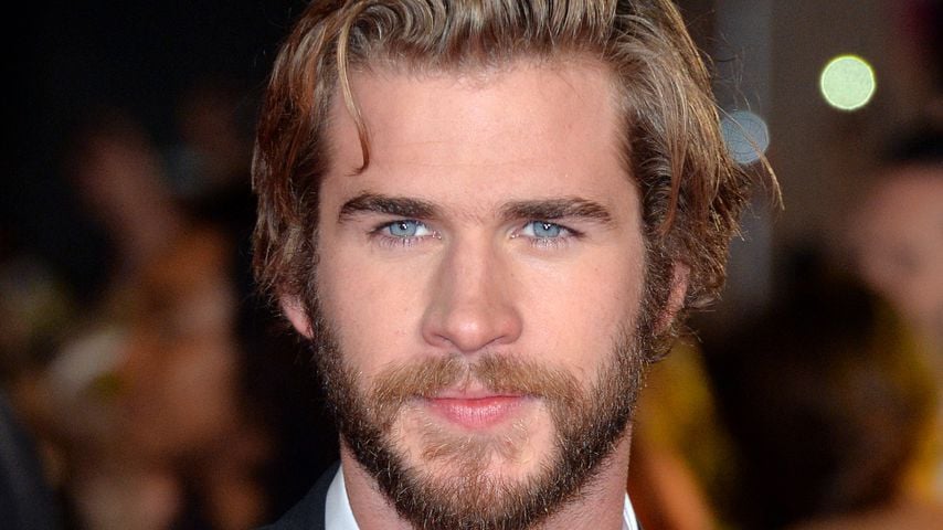Schauspieler Liam Hemsworth im November 2014