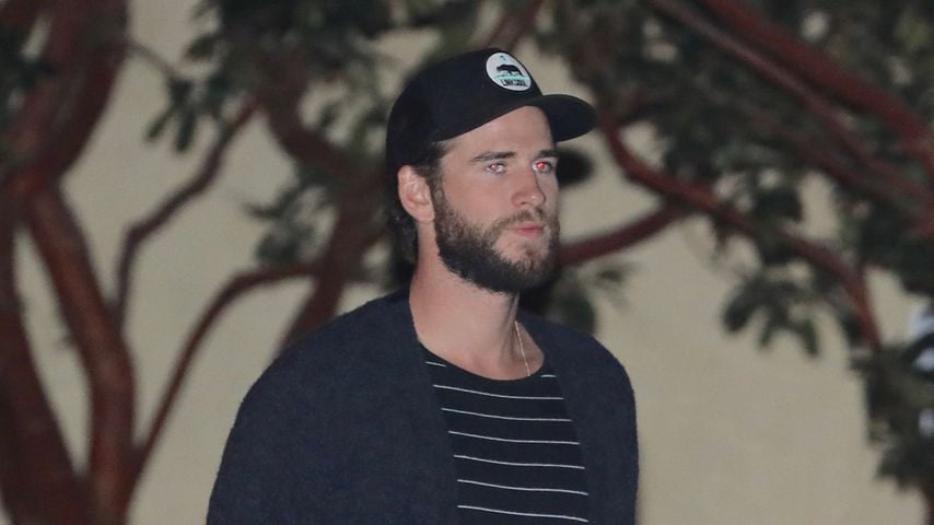 Liam Hemsworth, Schauspieler