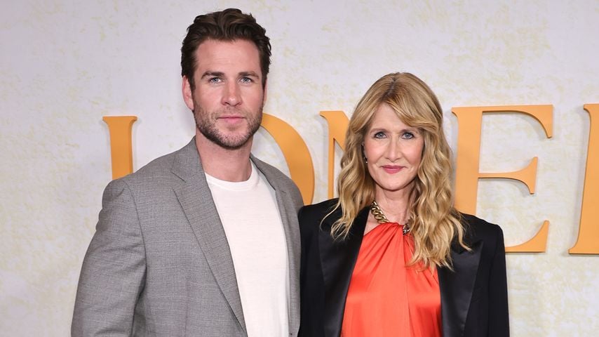 So waren die Sexszenen für Liam Hemsworth und Laura Dern