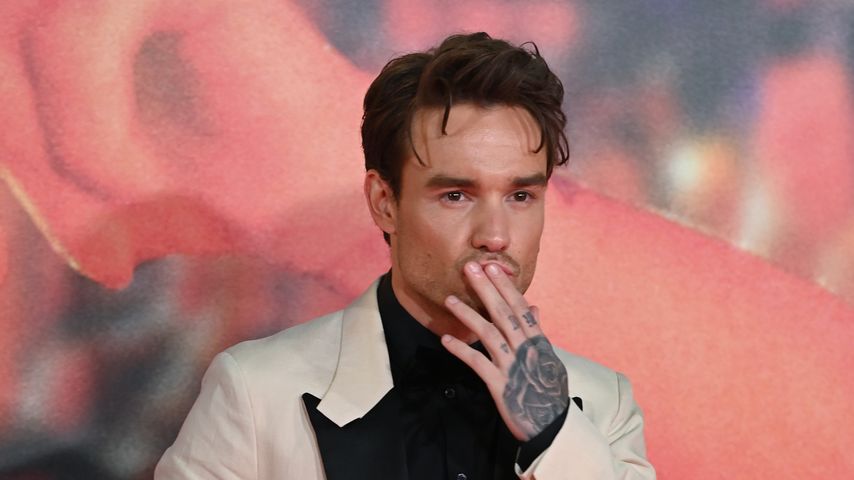Liam Payne, Sänger