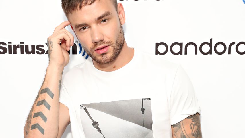 Liam Payne, Sänger