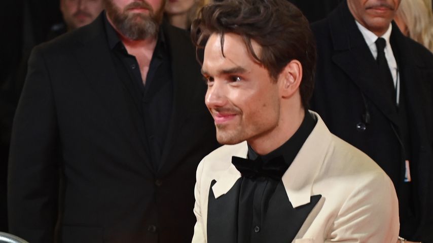 Liam Payne, Sänger
