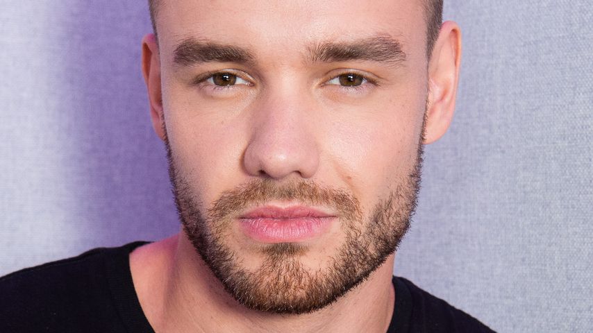 Liam Payne, Sänger