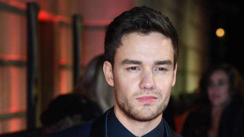 Liam Payne, Sänger