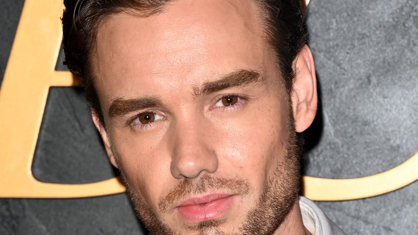 Liam Payne, Sänger