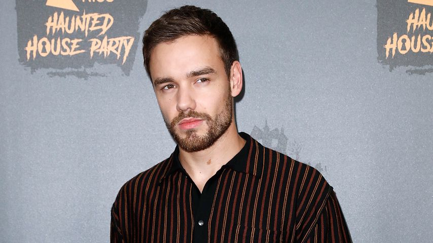 Liam Payne, Musiker