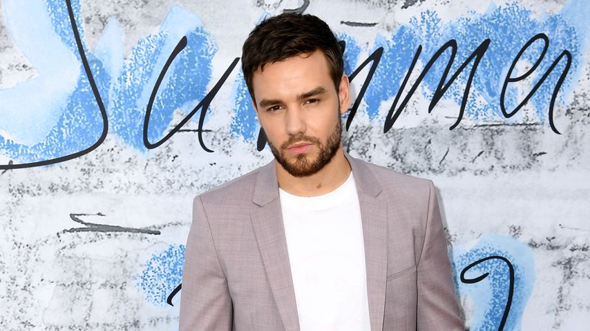 Liam Payne, Sänger