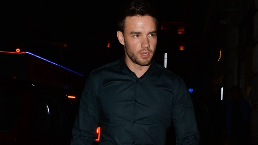 Liam Payne, Musiker