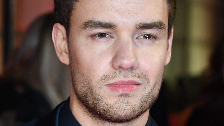 Liam Payne, Sänger