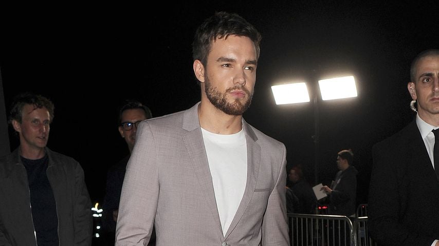 Liam Payne, Sänger