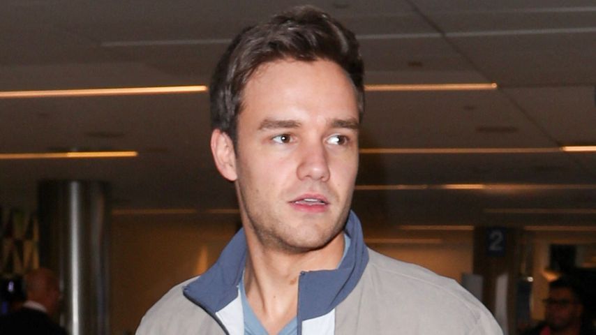 Liam Payne, Musiker