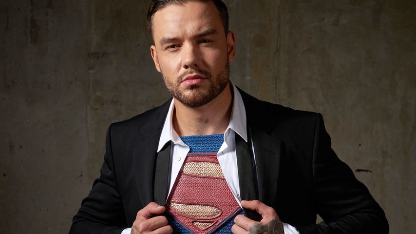 Liam Payne, Musiker