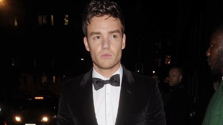 Liam Payne, Sänger