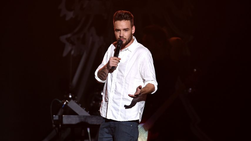 Liam Payne, Sänger