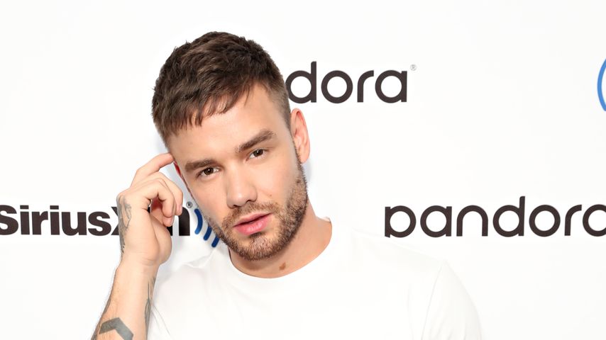 Liam Payne, Sänger