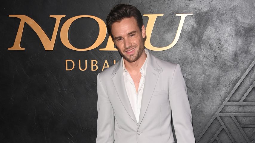Liam Payne, Sänger