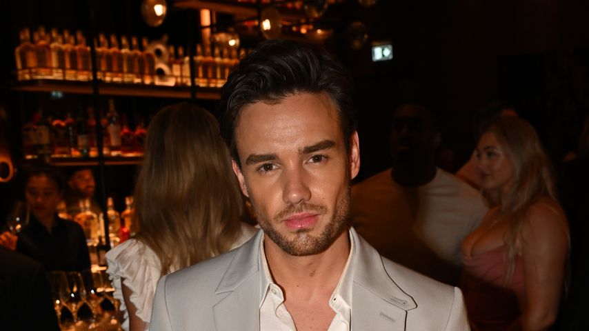Liam Payne, Sänger