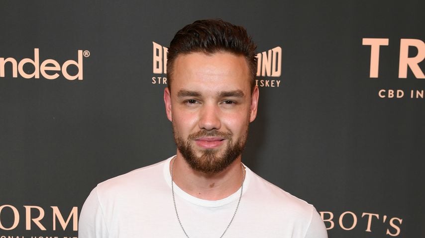 Liam Payne, Sänger