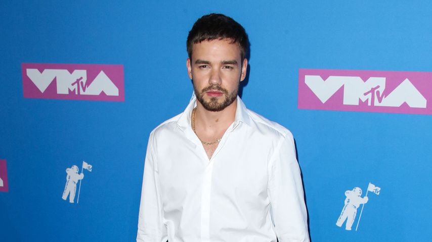 Liam Payne, Sänger