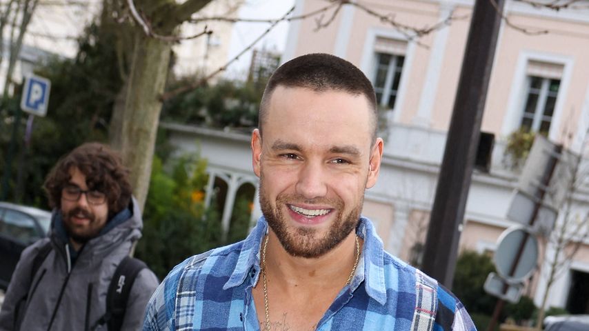 Liam Payne, Sänger