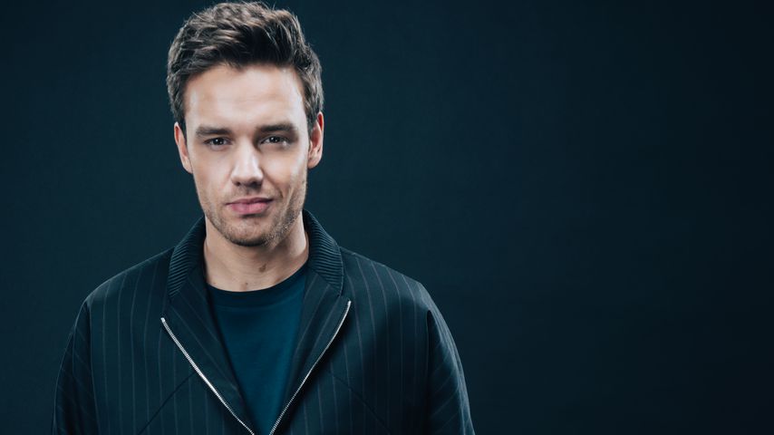 Liam Payne, Musiker