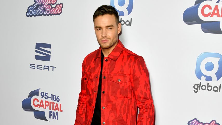 Liam Payne, Musiker