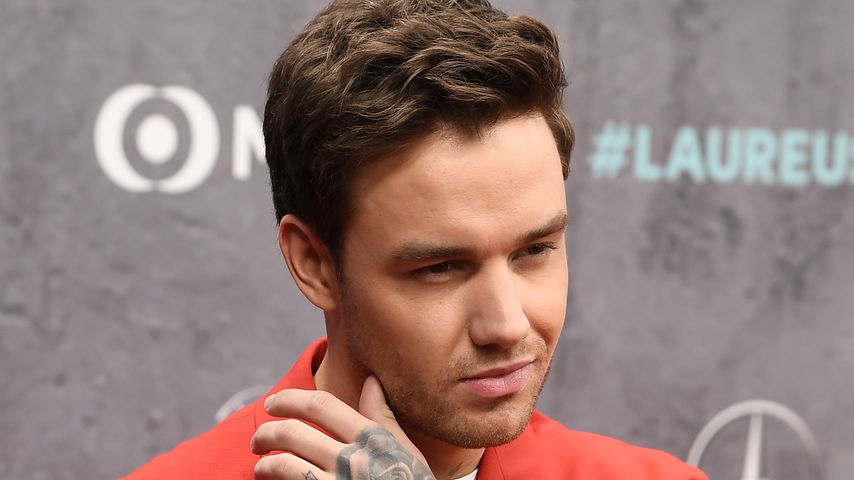Liam Payne, Musiker