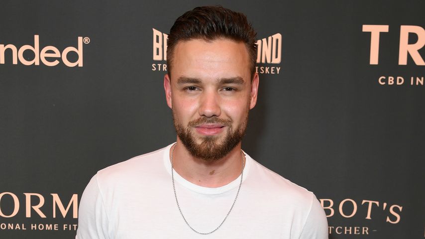 Liam Payne, Sänger