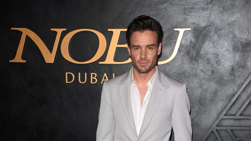 Liam Payne, Sänger