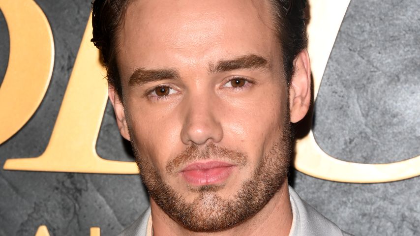 Liam Payne, Musiker