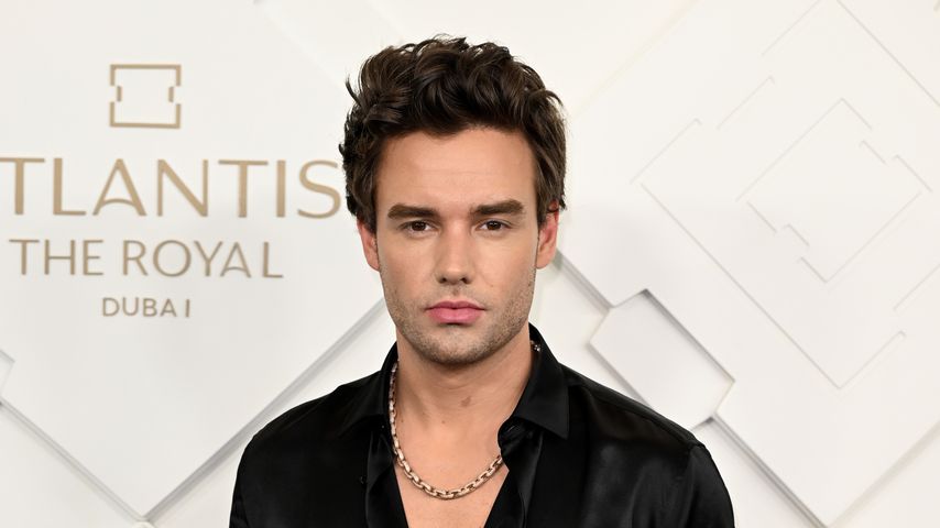 Liam Payne, Sänger